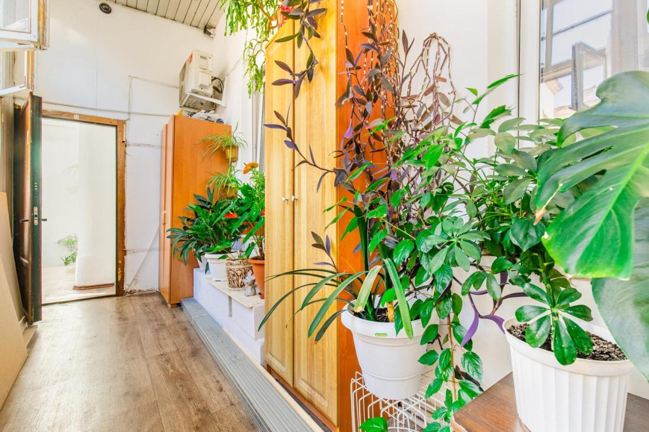 Best Apartment In The City Centre Oldenburg Bagian luar foto